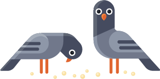 vector pigeon eating
