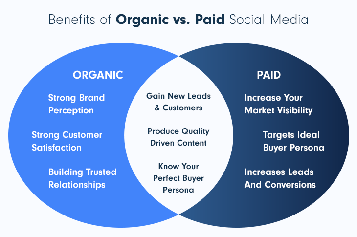 Benefits of organic vs paid social media for a SaaS business and marketing strategy 