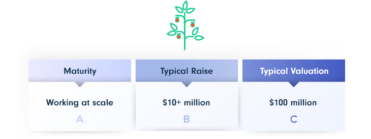 SaaS Series B - Equity-based funding