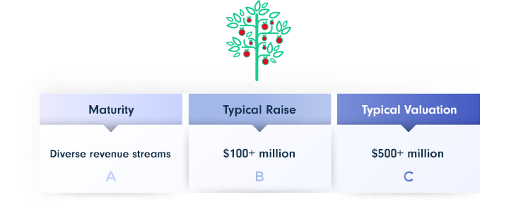 SaaS Series C - Final stage funding